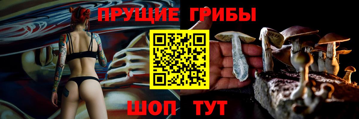 Псилоцибиновые грибы прущие грибы Новодвинск